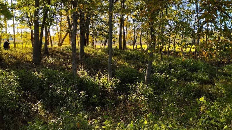 South Shore Wildlife Management Area - Image 1