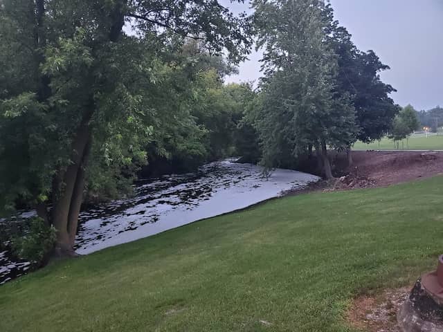 Morrissey Park - Image 1