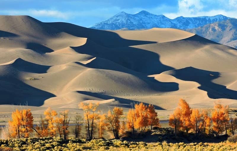 Star Dune - Image 1