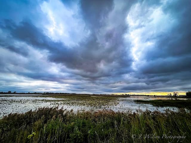 Metzger Marsh Wildlife Area - Image 3