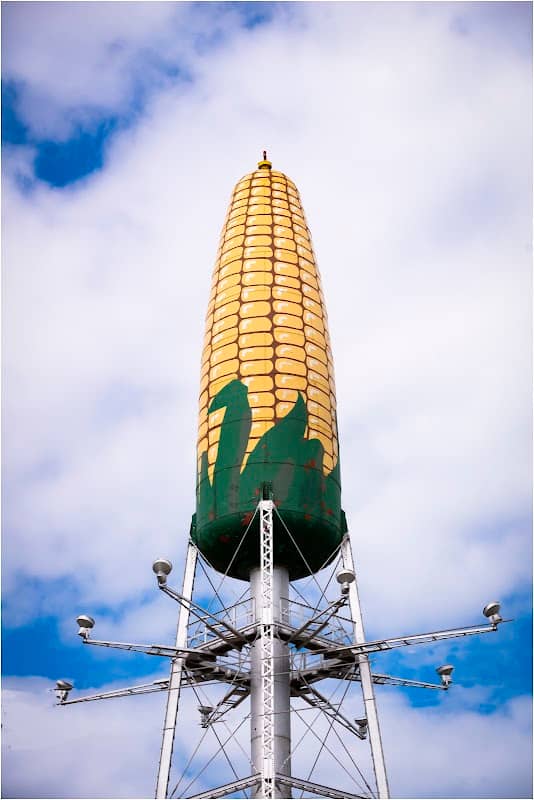 Ear of Corn Water Tower - Image 2