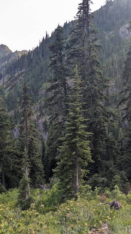 Knox Creek Trailhead - Image 1