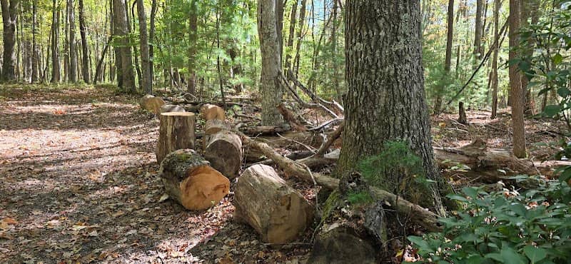 Woodland Loop Trail - Image 2