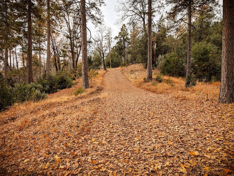 Thornberry Mountain Trailhead - Image 2