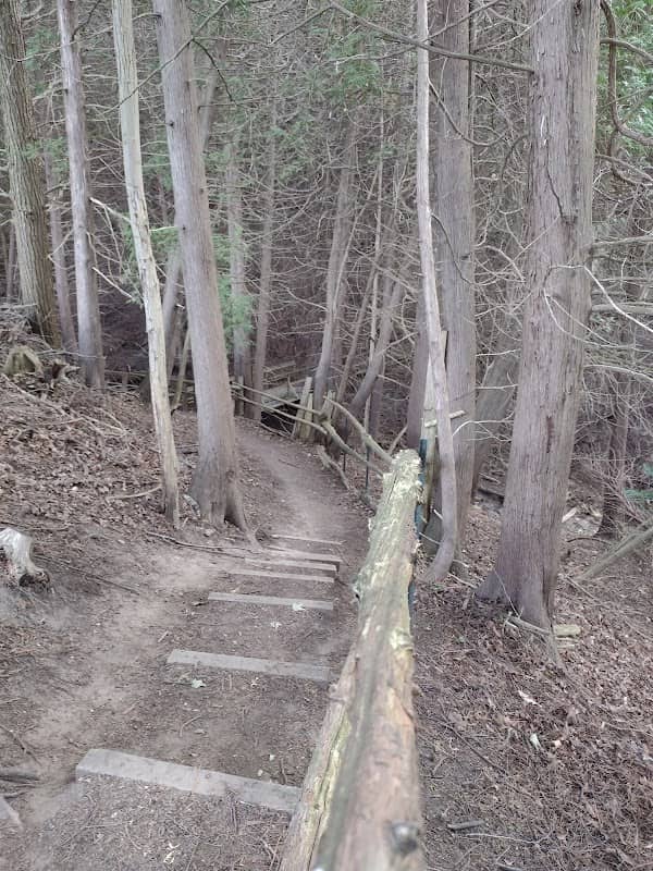 Robinson Park - Image 1