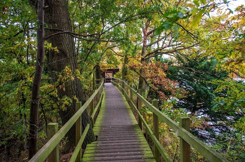 Paxton Pits Nature Reserve - Image 2