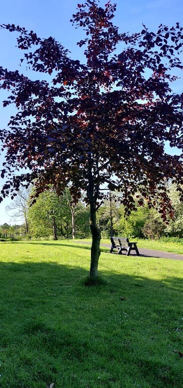 Laurel Bank Park - Image 1