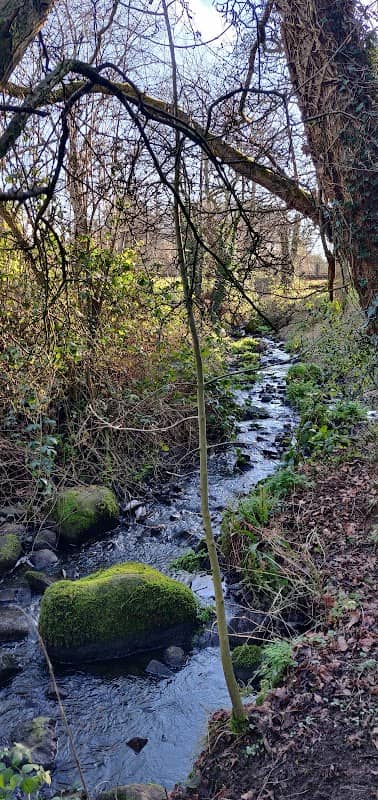 Laurel Bank Park - Image 2