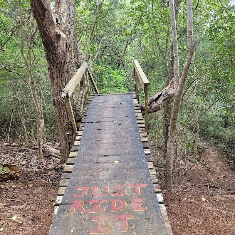 Live Oak Picnic Area - Image 2