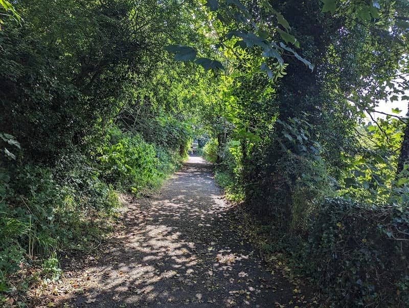 Godstone Ponds - Image 2