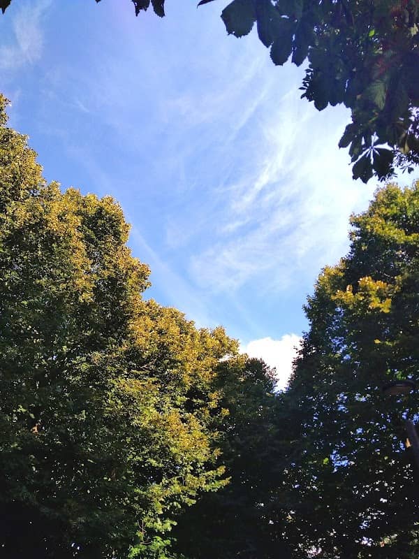 Parco Città di Villejuif - Image 1