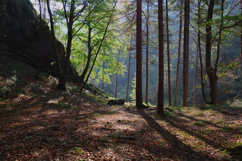 Val Bertone - Caino - Image 1