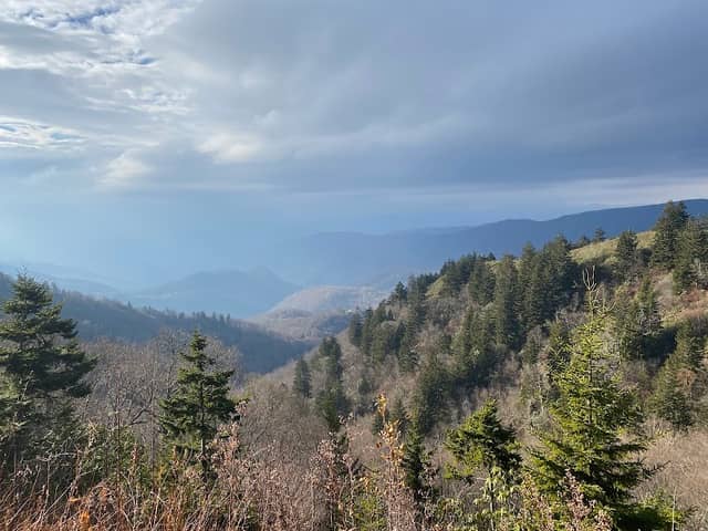 Scott Creek Overlook - Image 1