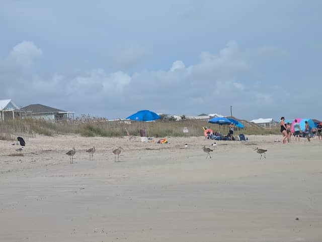 Goldsboro St- Beach Access - Image 1