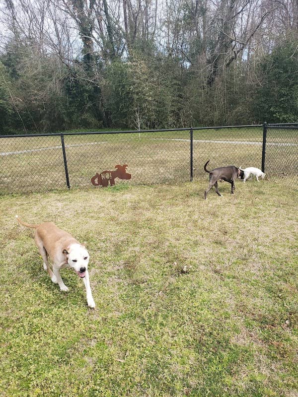 Fisher Drive Park - Image 2