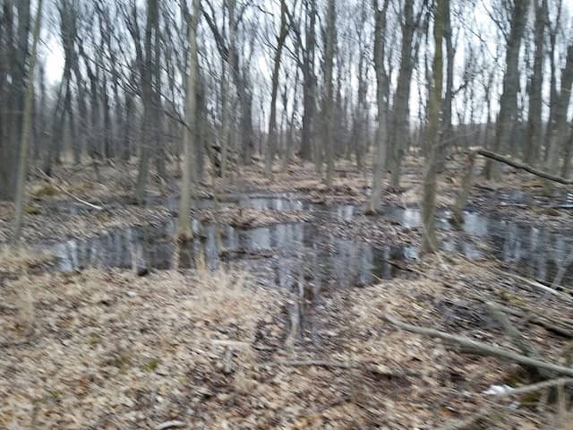 Shaky Lake State Natural Area - Image 1