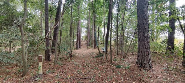 Sumter Disc Golf - Image 1