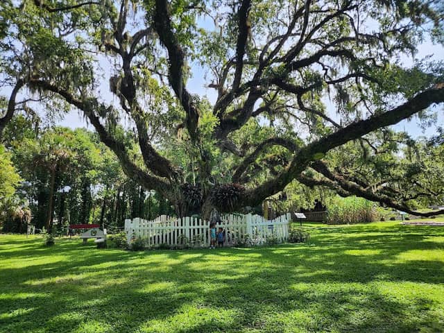 Dunlawton Sugar Mill Gardens - Image 3