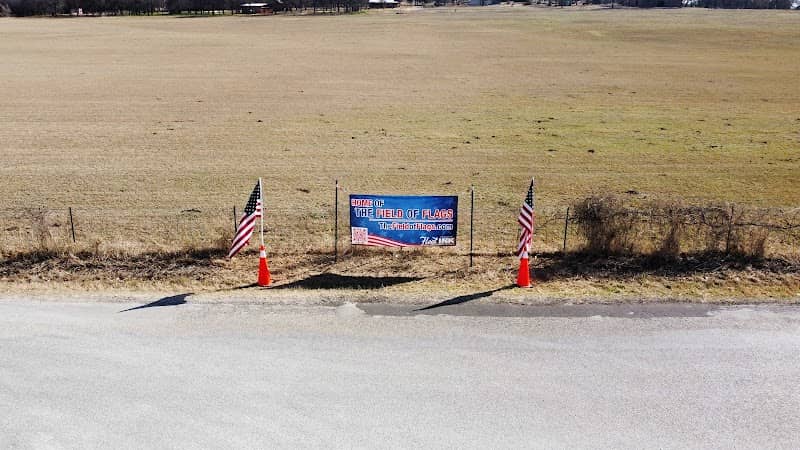 Field of Flags - Image 1