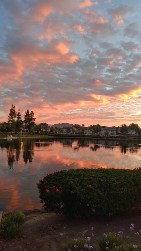 La Paloma Park, Valley-Wide Recreation and Park District - Image 1