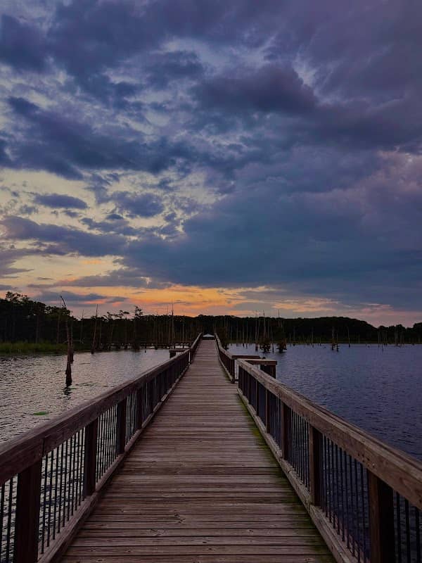 Black Bayou Lake NWR Boat Ramp - Image 3