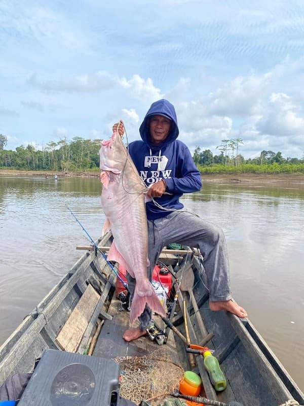 Kapuas River - Image 1
