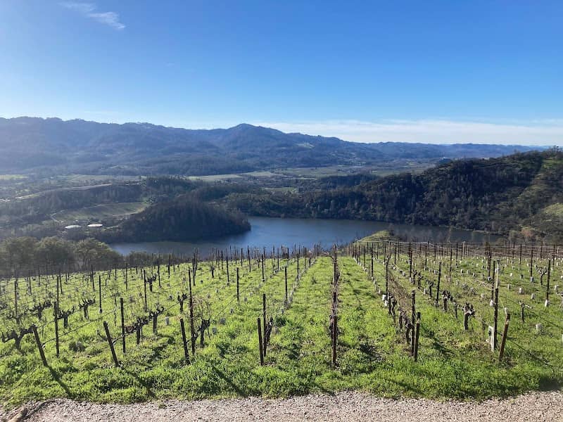 Viader Vineyards & Winery - Image 2