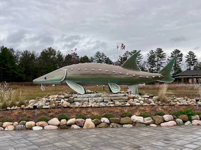 Lake Sturgeon Statue - Image 1