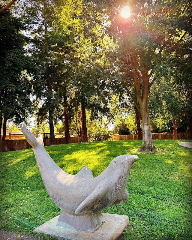 Whaleback Park - Image 1