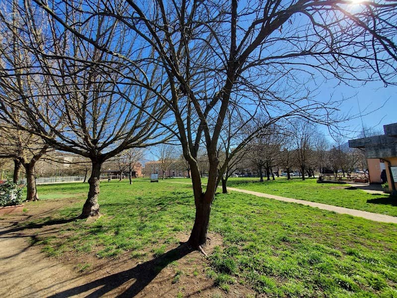 Parco verde 5° Circoscrizione - Image 1