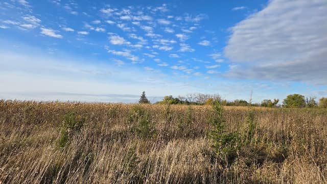 Three Rivers Wildlife Management Area - Image 1