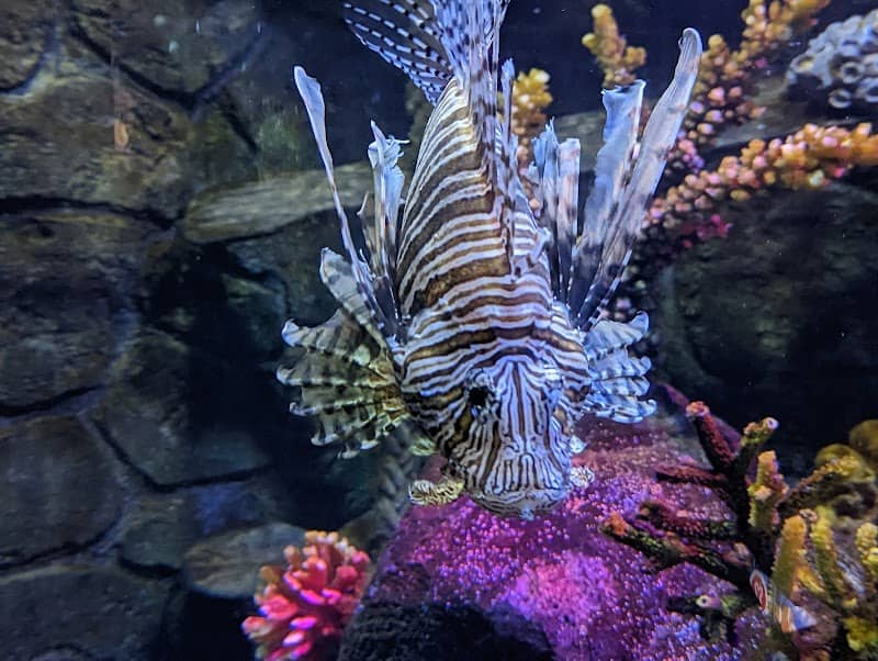 SEA LIFE Weymouth - Image 2