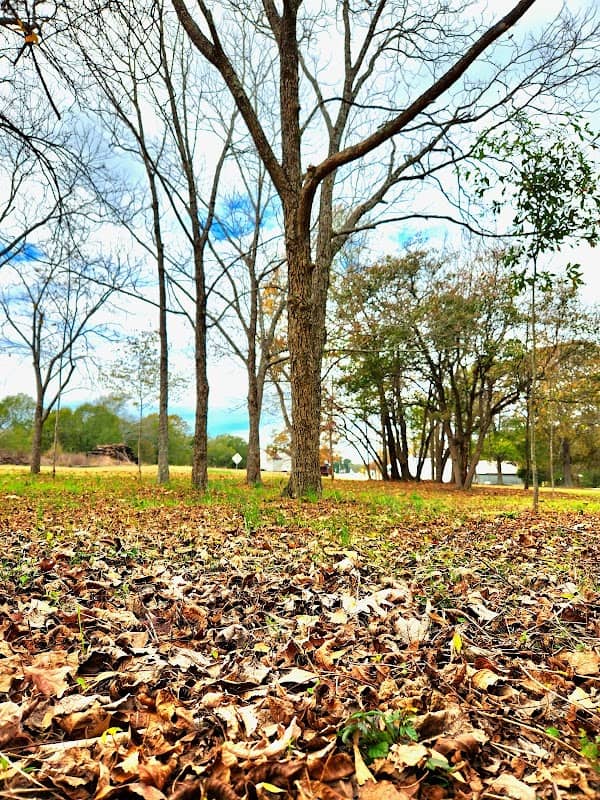 Pacolet Station Park - Image 1