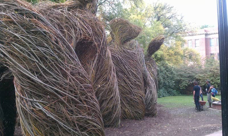 People's Park - Image 1