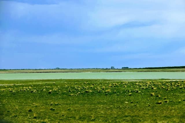 Freezout Lake Wildlife Management Area - Image 2