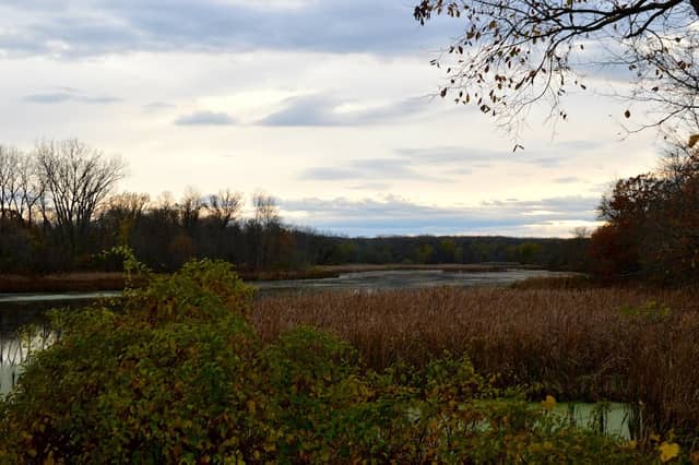 Vischer Ferry Nature & Historic Preserve - Image 1