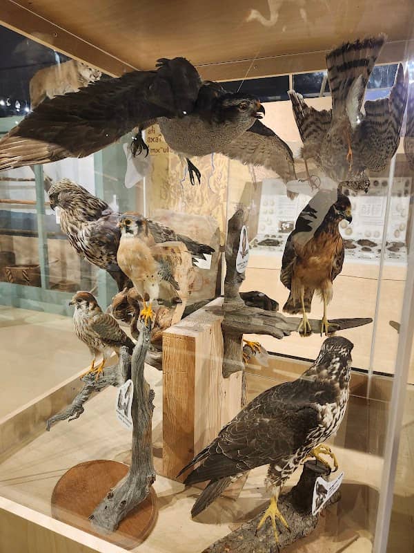 Penticton Museum & Archives - Image 2
