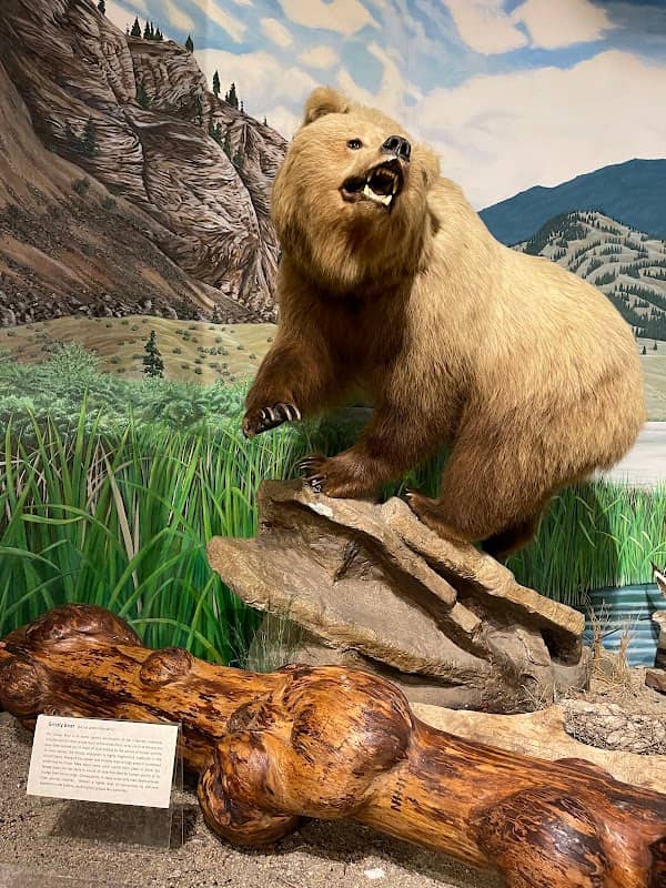 Penticton Museum & Archives - Image 3