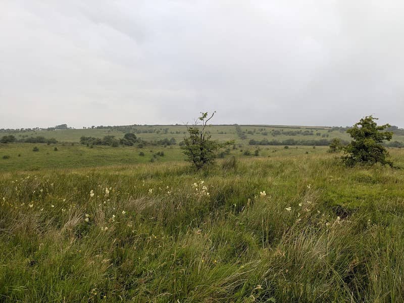 Slievenacloy Nature Reserve - Image 1