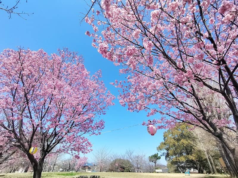 Washizuka Park - Image 1