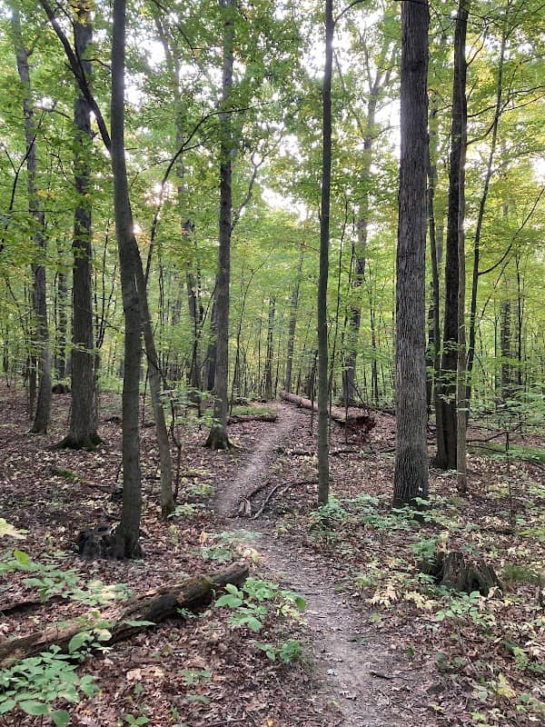 Schroeter Park - Image 1