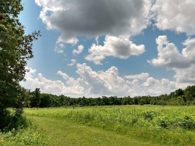 Schroeter Park - Image 2