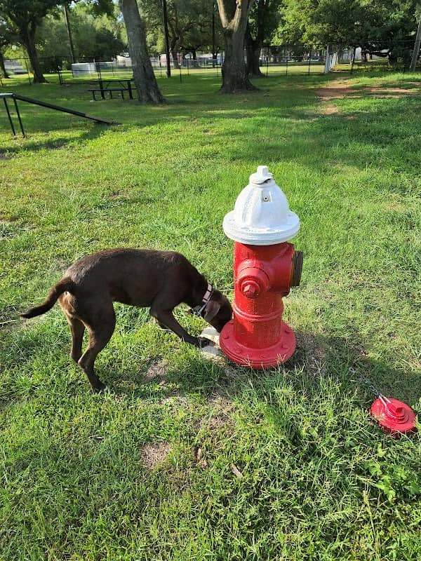 Farrington Dog Park - Image 1