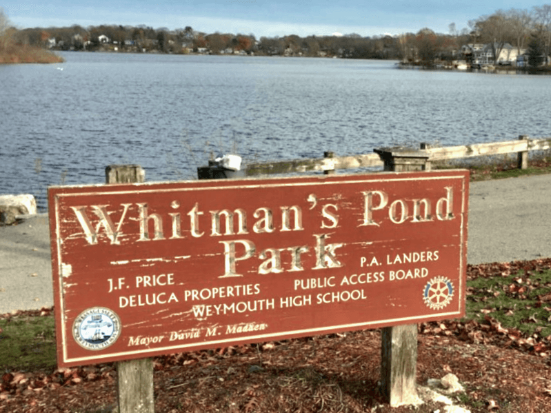 Whitman's Pond park - Image 1