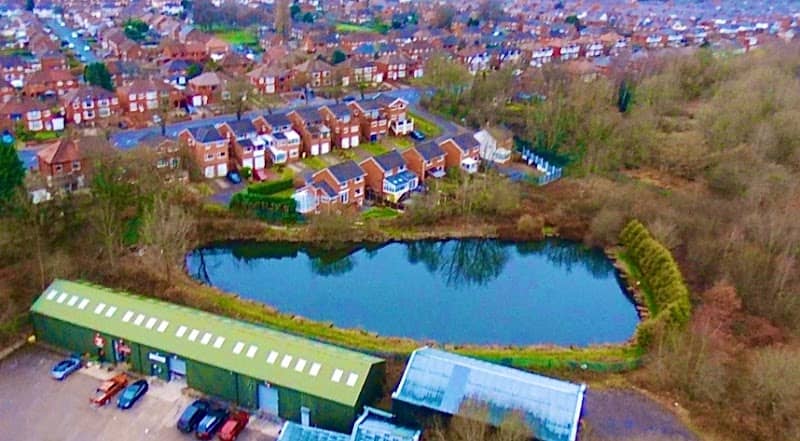 Joel’s pond - Image 1