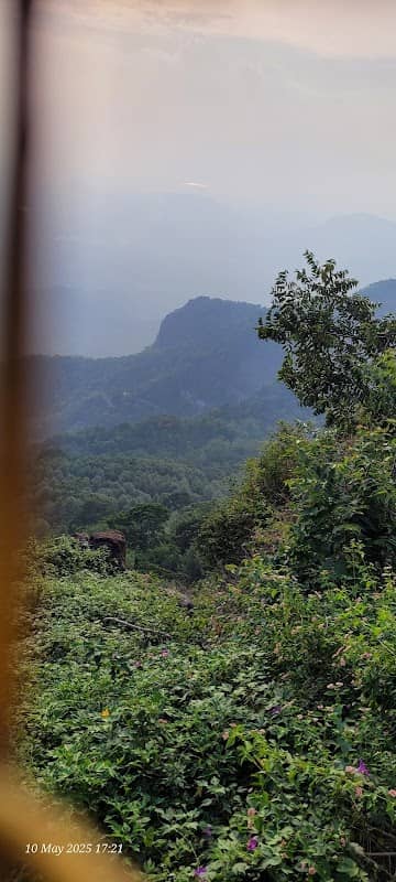 Ladies Seat Viewpoint - Image 1