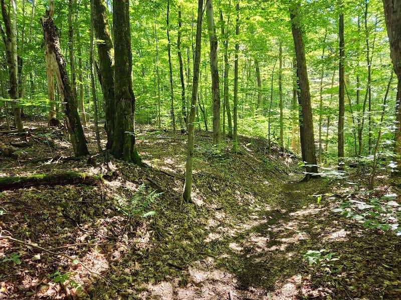 Trenton Greenbelt Hiking Trails - Image 1
