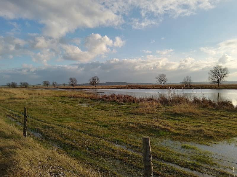 Cooling Marsh - Image 1