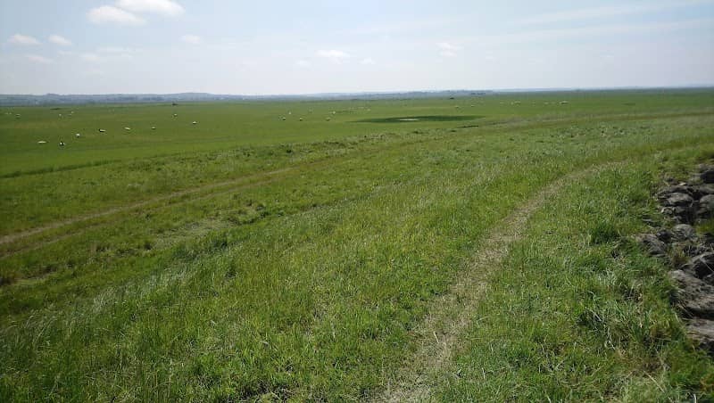 Cooling Marsh - Image 2