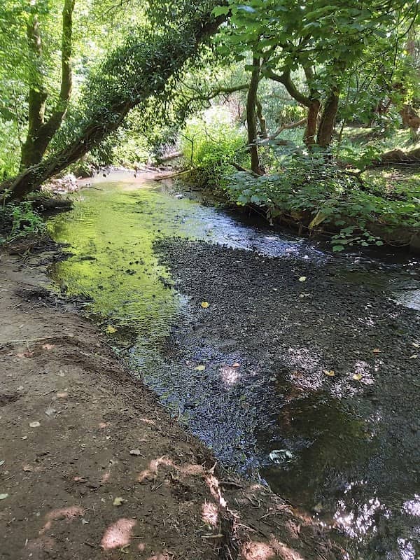 Pyle Waterfall - Image 2
